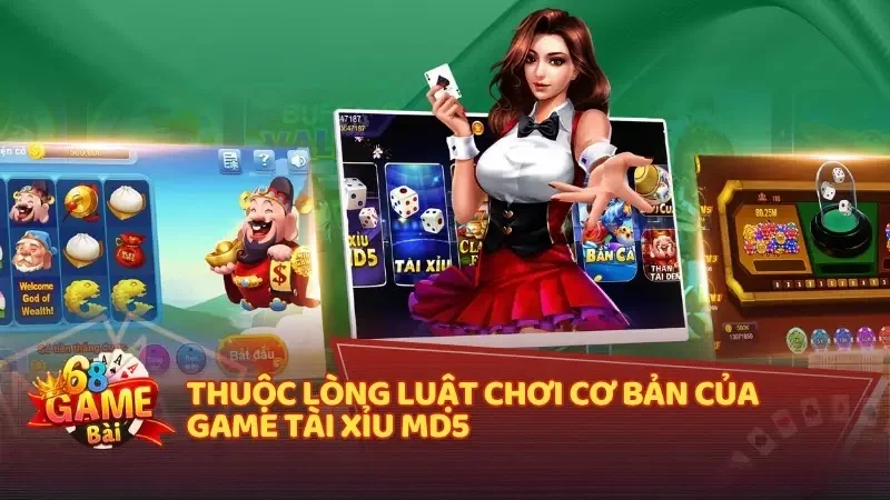 Thuộc lòng luật chơi cơ bản của game Tài xỉu MD5
